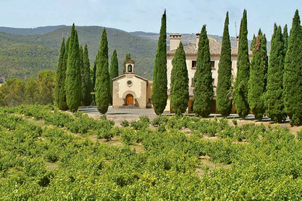 Bornos Bodegas y Viñedos: vinos de excelencia