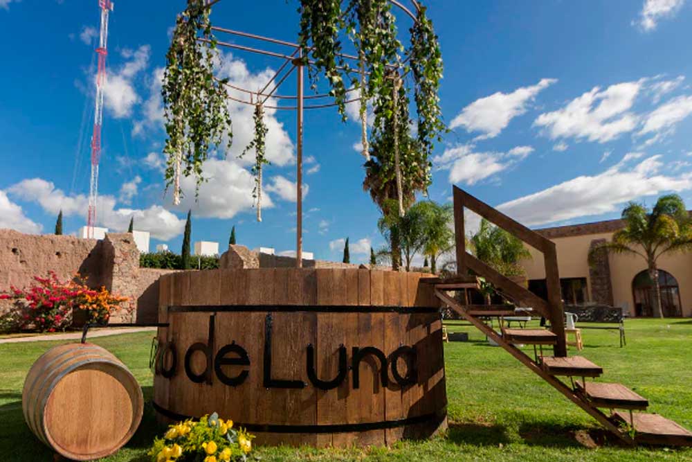 Vinícola Pozo de Luna celebra su vendimia con actividades y concurso literario